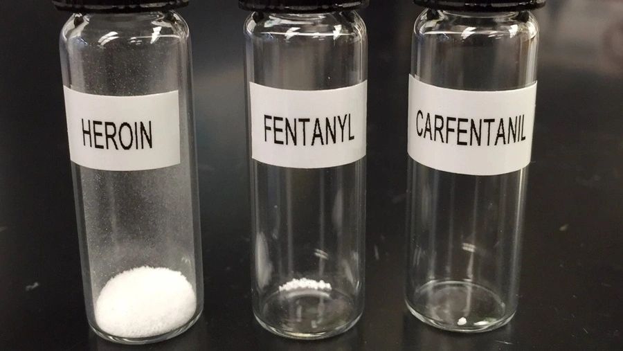 Carfentanil not intended for human use 