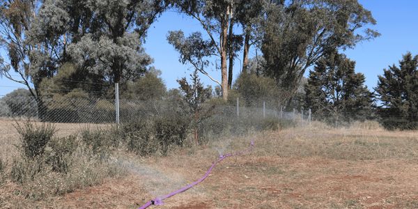Sprinklers watering dry grass in a fenced rural area under clear blue sky.