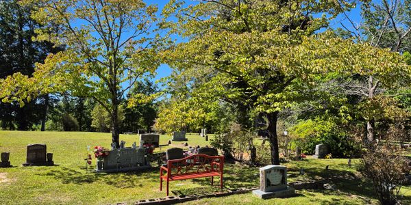 A peaceful cemetery with tombstones, trees, and a red bench under a clear blue sky.