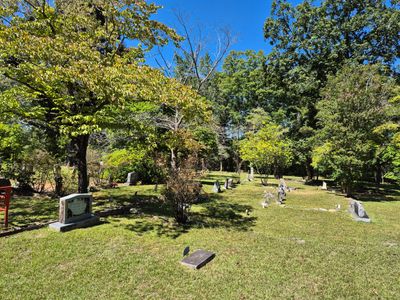 A peaceful cemetery with scattered tombstones under clear blue sky.
