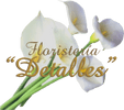 Floristeria Detalles