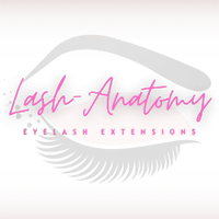 Lash-Anatomy