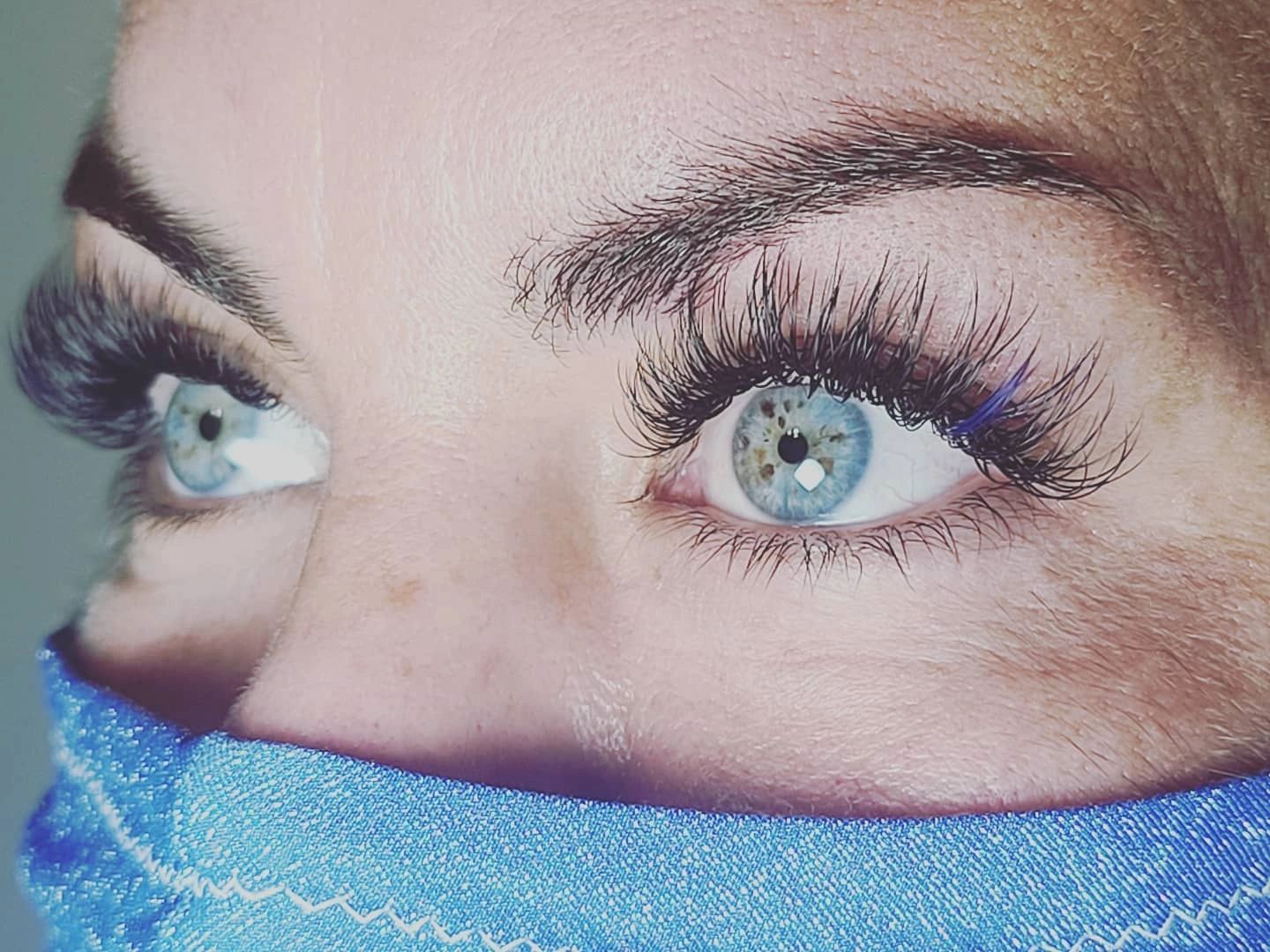LashAnatomy Eyelash Extensions