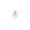 The World of Honey