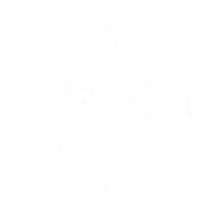 The World of Honey