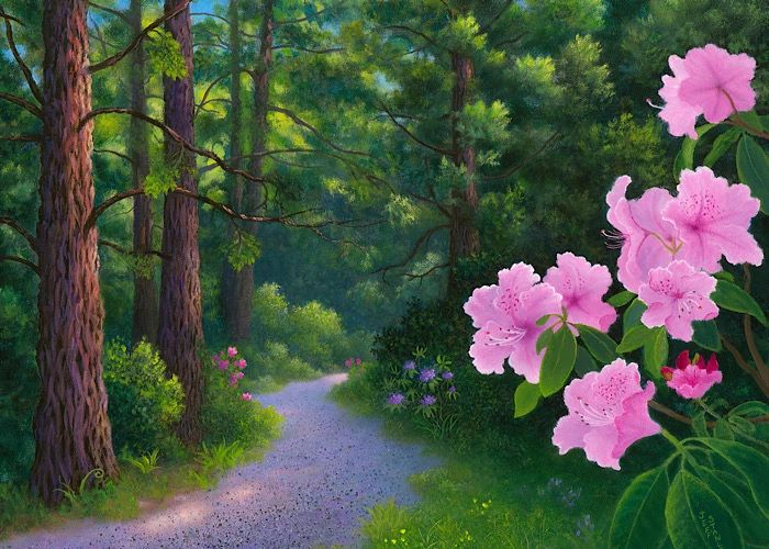 Painting of Redwoods and rhododendrons.  Painting by Jeff Stanley.