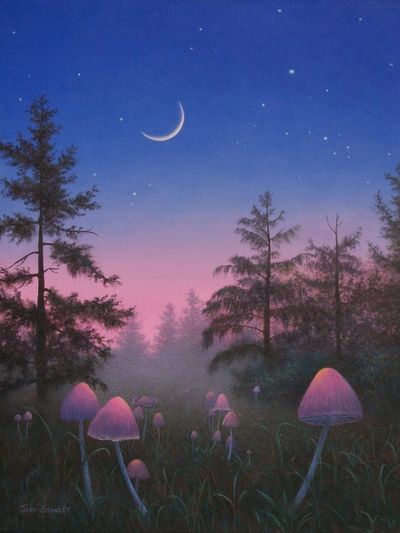 Mystical forest with glowing mushrooms under crescent moon.