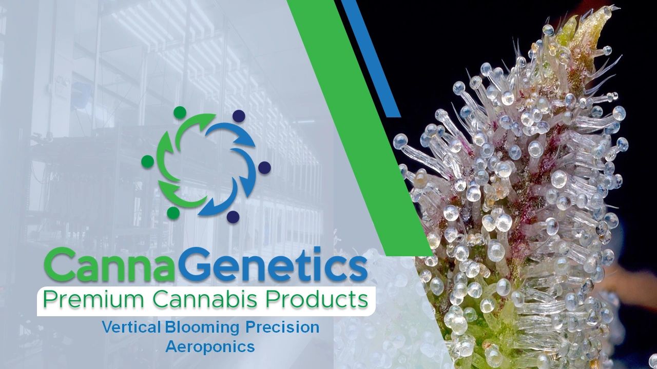 Careismatic Brands Inc is exhibiting at CannaCon!