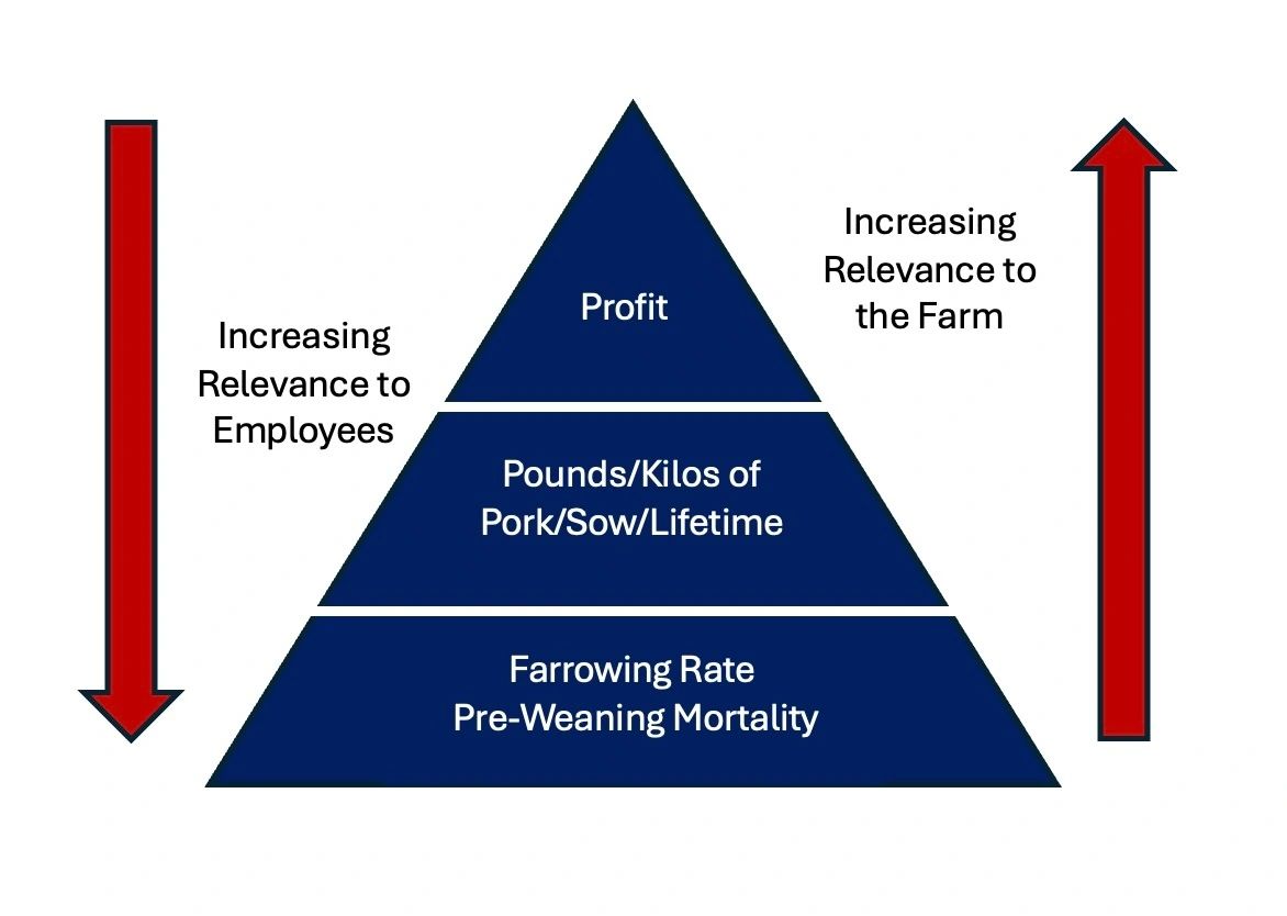An image representing the metric pyramid. 