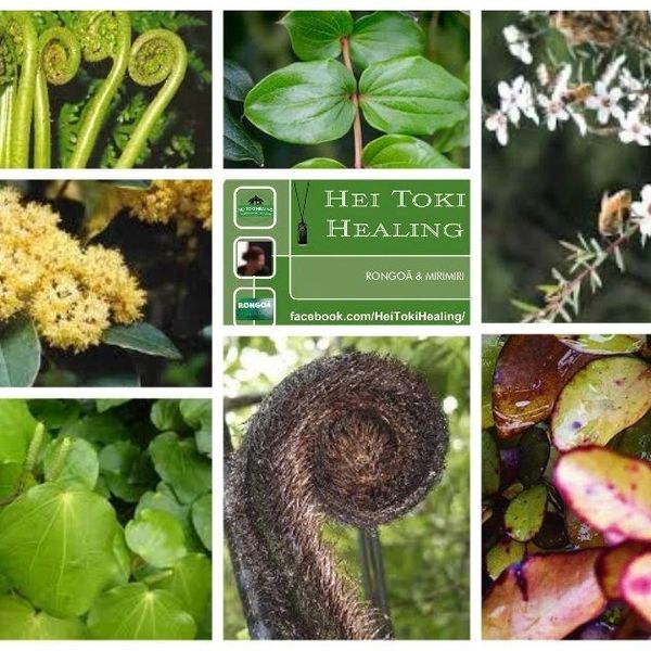 Collage of various native plants and ferns used in Māori healing traditions.