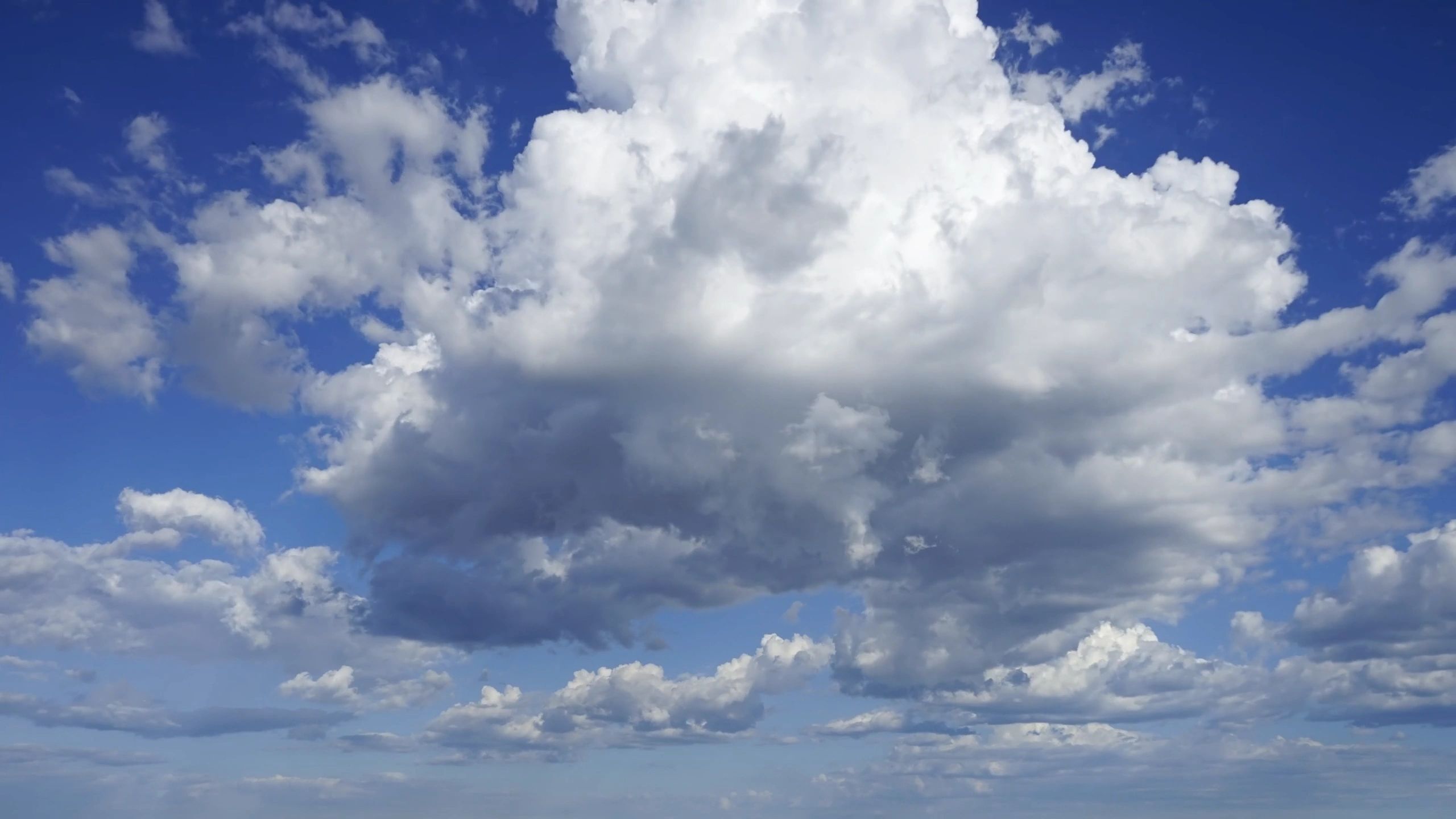 https://img1.wsimg.com/isteam/ip/115c6663-c229-4710-b8cc-69a689f71312/thumbnails/thumbnail-c47793e1-8196-4f05-a374-c4e4fd724408.png