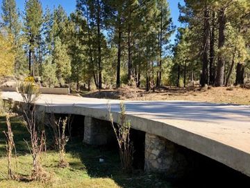 Donations helped us fund this bridge project in Northern Baja's pine forest