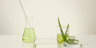 Aloe vera leaves and green liquid in lab glassware on a reflective surface.