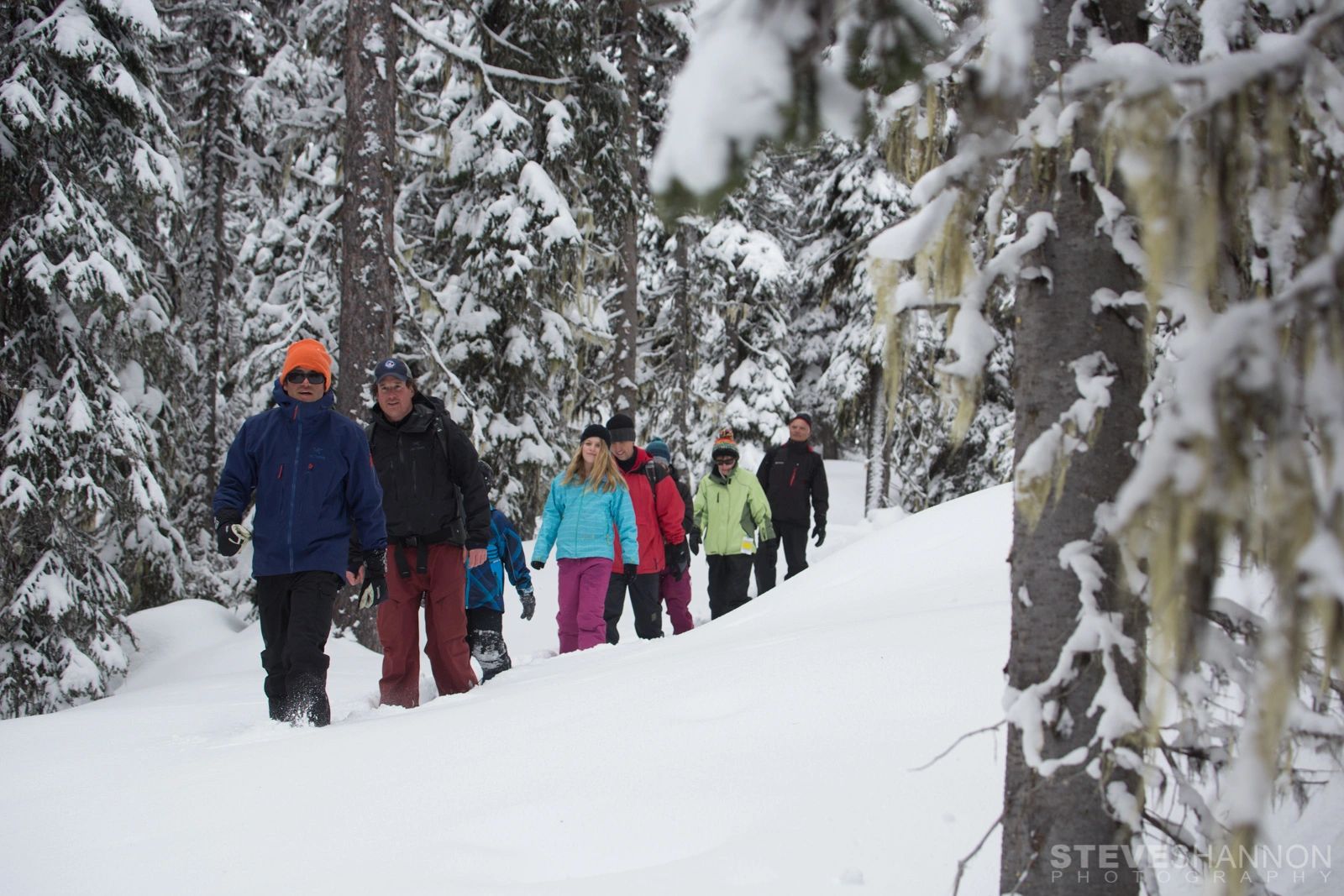 Home Revelstoke Snowshoe Co. Tours Revelstoke, BC