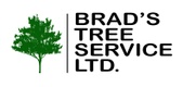 Brad's Tree Service