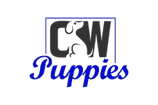 Cottonwood Puppies 
