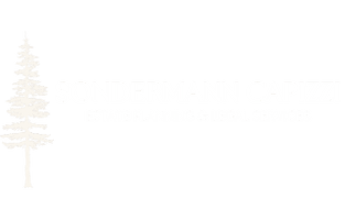 SONDERMANN | CAPIZZI
ESTATE & LEGAL SERVICES