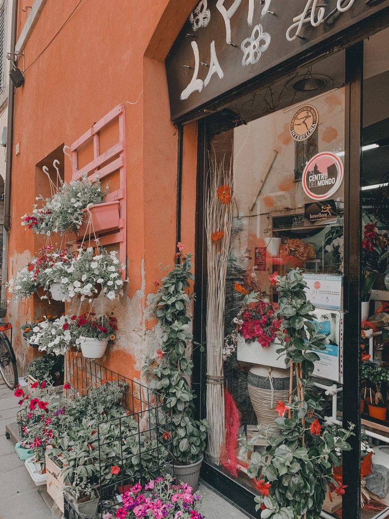 Flowers in Foligno