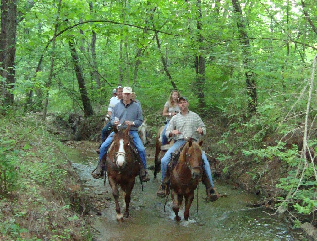 Riders on horseback on a wooded Love Valley trail