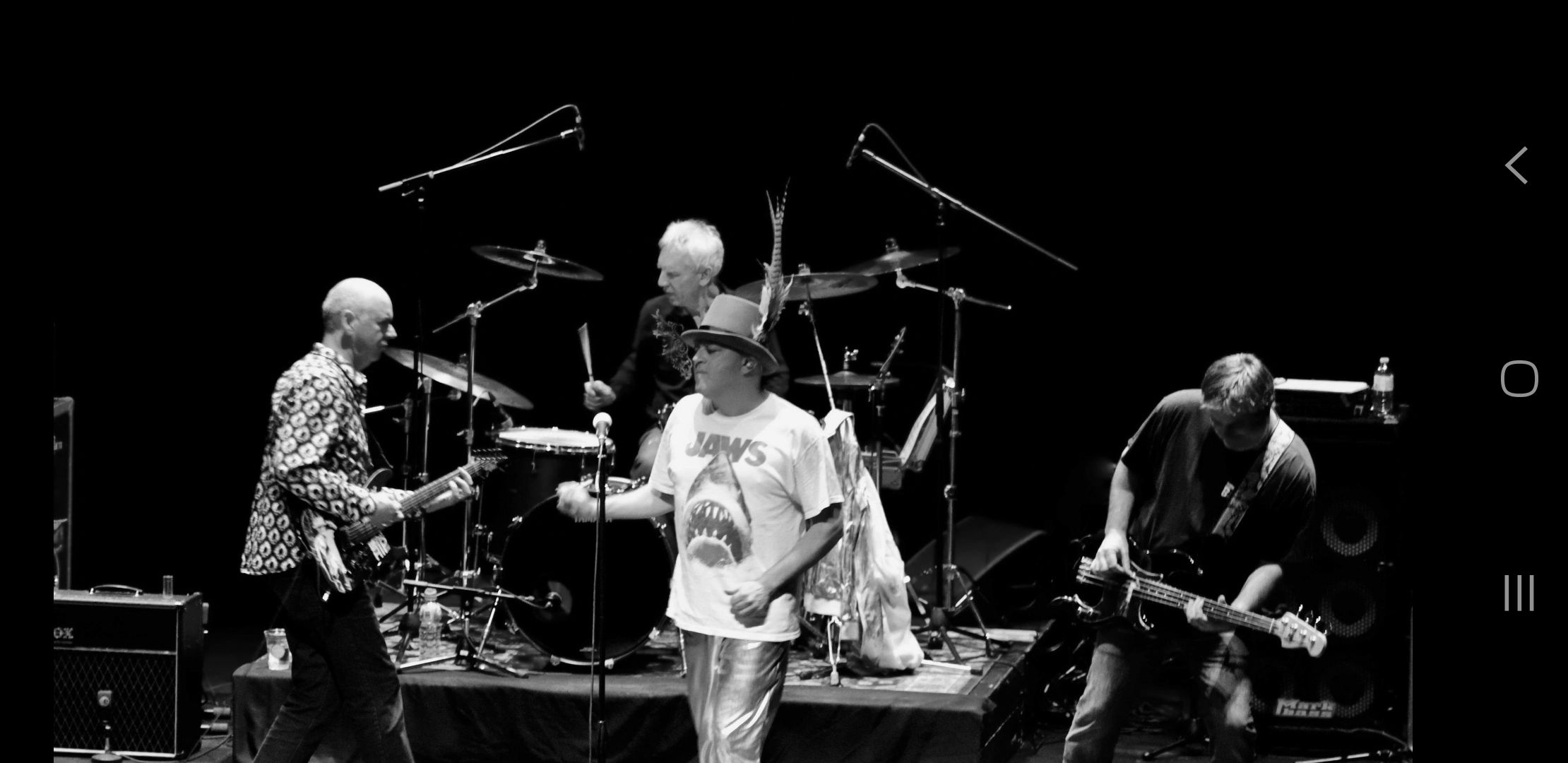 Tribute Band The Hip Replacements