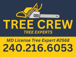 tree crew