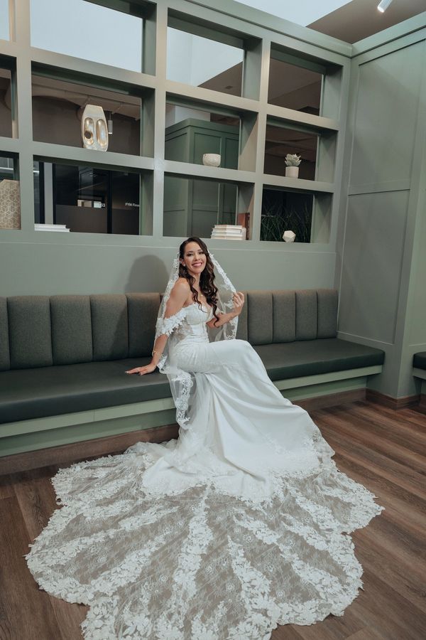 The Dress ! Bridal dress , cathedral veil 