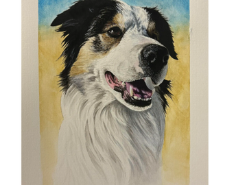 Black Tricolor male border collie watercolor gouache painting