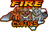 Fire Exotics