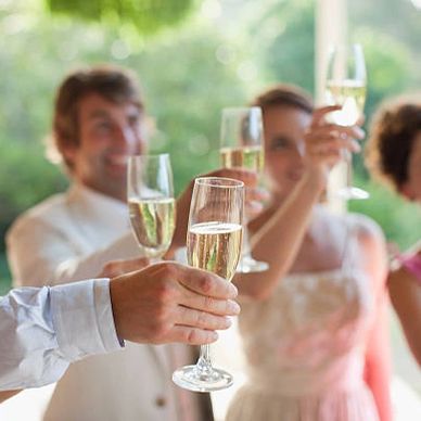 a bride and groom with wedding party holding up champagne glasses for toast