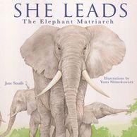 She leads, picture book, children's book, elephant, Matriarch, leadership, girl power, animals,