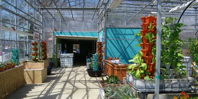 Vertical Growing Systems Designs