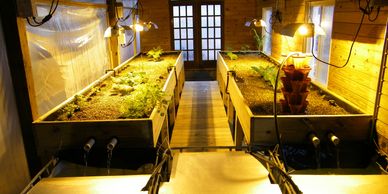 Large Aquaponics System Design