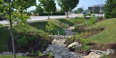 A landscaped dry creek bed with rocks and plants in an urban setting.