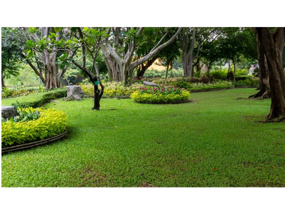 Custom garden design with pathway  & flowering shubs
