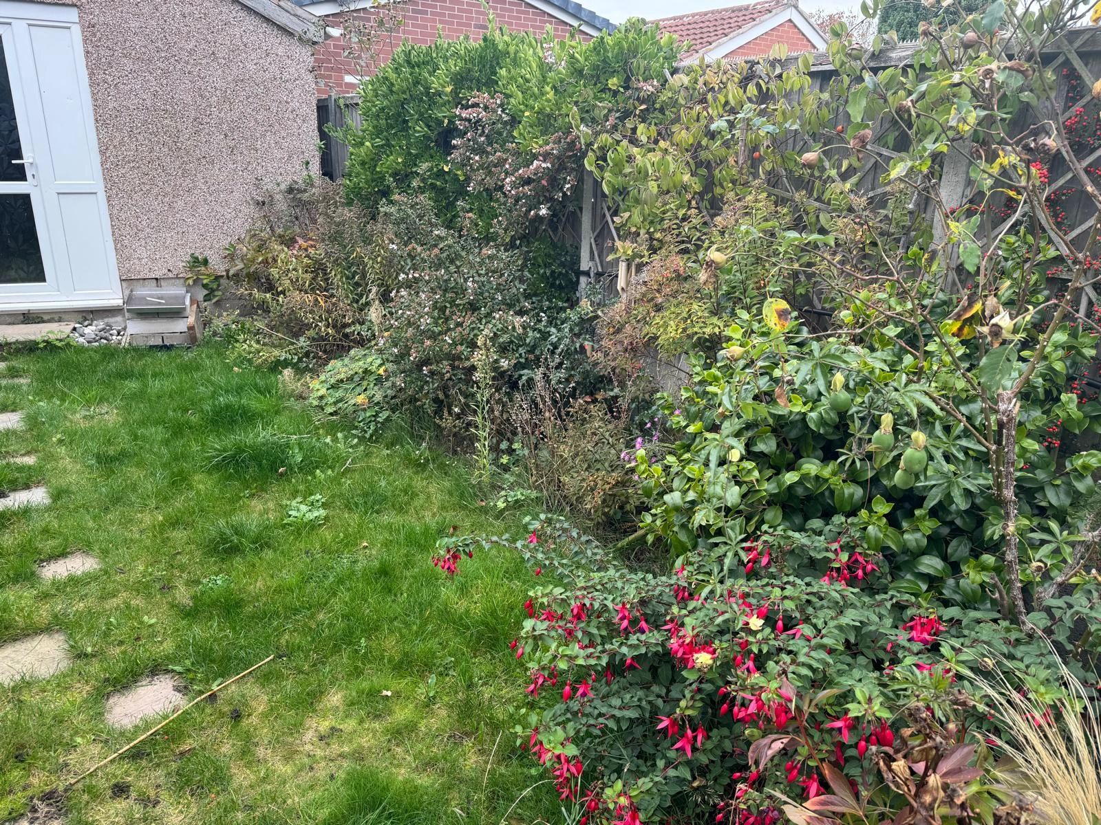 A lush garden with green grass and flowering plants.