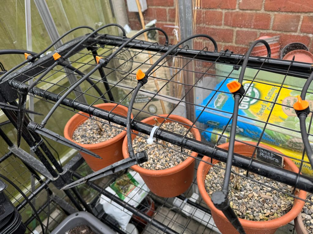 Greenhouse watering system