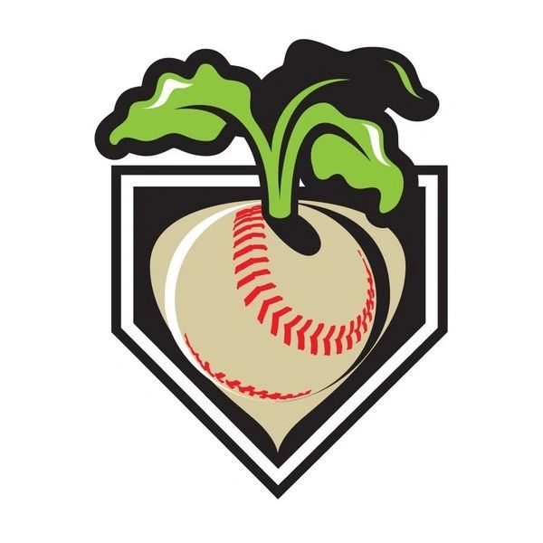 A turnip with a baseball stitch pattern.