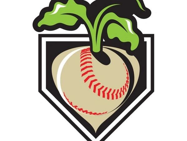 A turnip with a baseball stitch pattern.