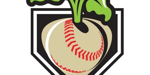 A turnip with a baseball stitch pattern.