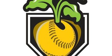 A baseball depicted as a turnip with leaves.