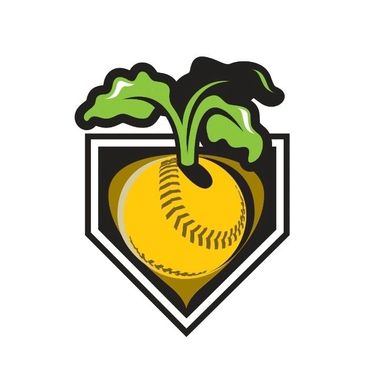 Saginaw End of May Tourney May 30-31 SOFTBALL