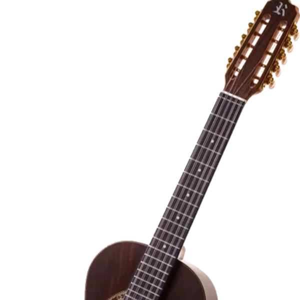 Viola caipira 