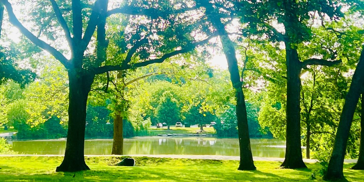 North picnic area at Herrick Lake 