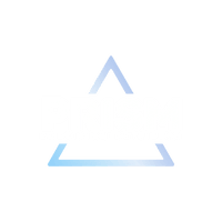 Prism Precision Detailing