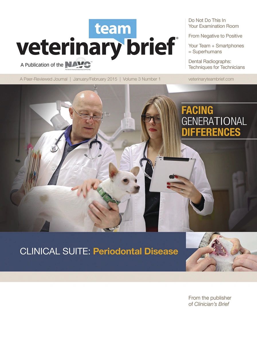 Veterinarians examine a dog for periodontal disease in a clinical setting.
