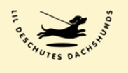 Lil Deschutes Dachshunds