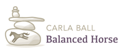 Carla Ball 