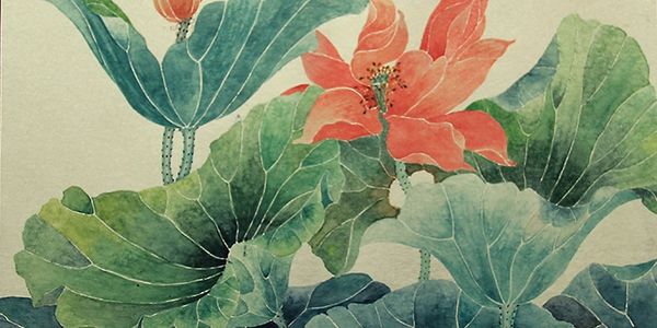 Delicate watercolor painting of lotus flowers and large green leaves.