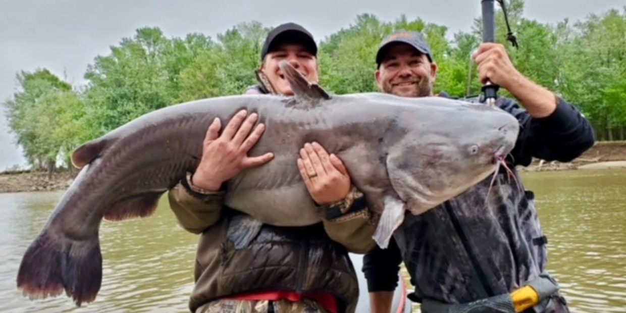 Catfish Fishing Guide