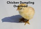 Chicken Dumpling Overload